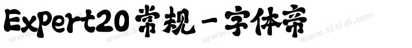 Expert20 常规字体转换